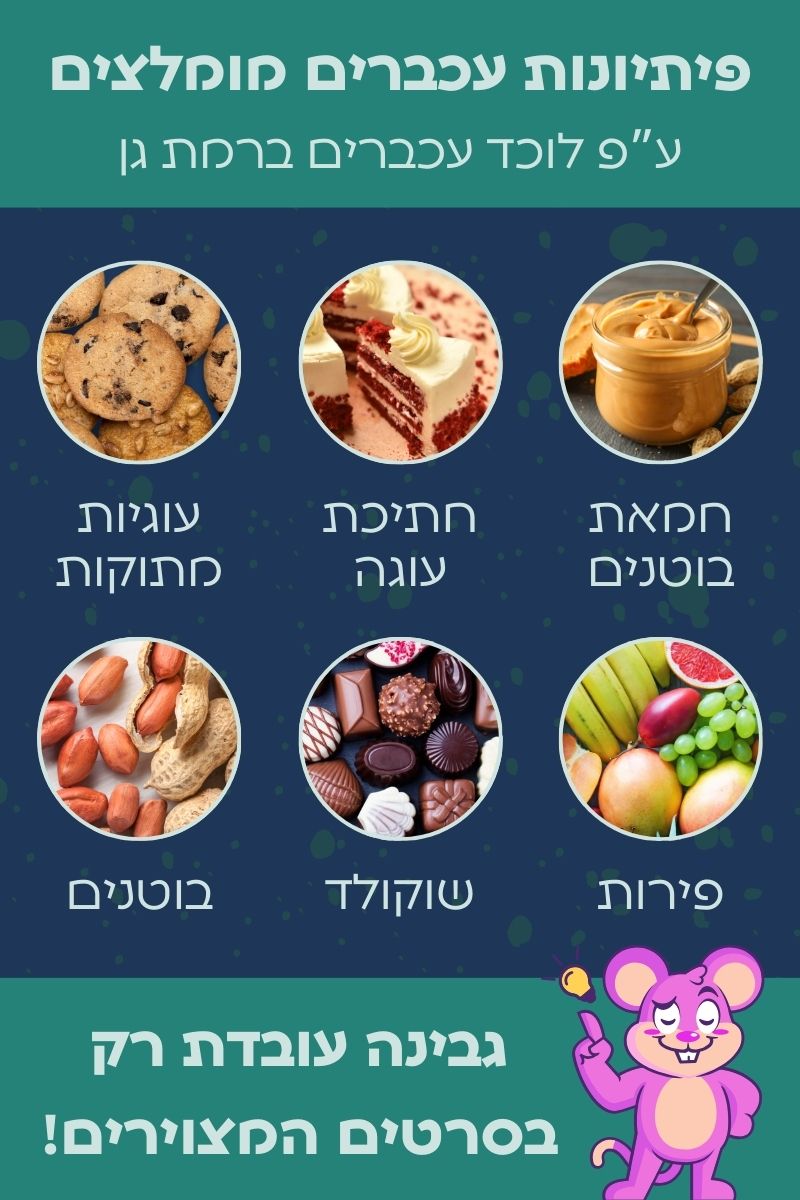 המלצה של לוכד עכברים ברמת גן על פיתיונות עכבירם